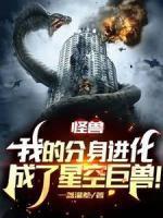 苏白林姨
